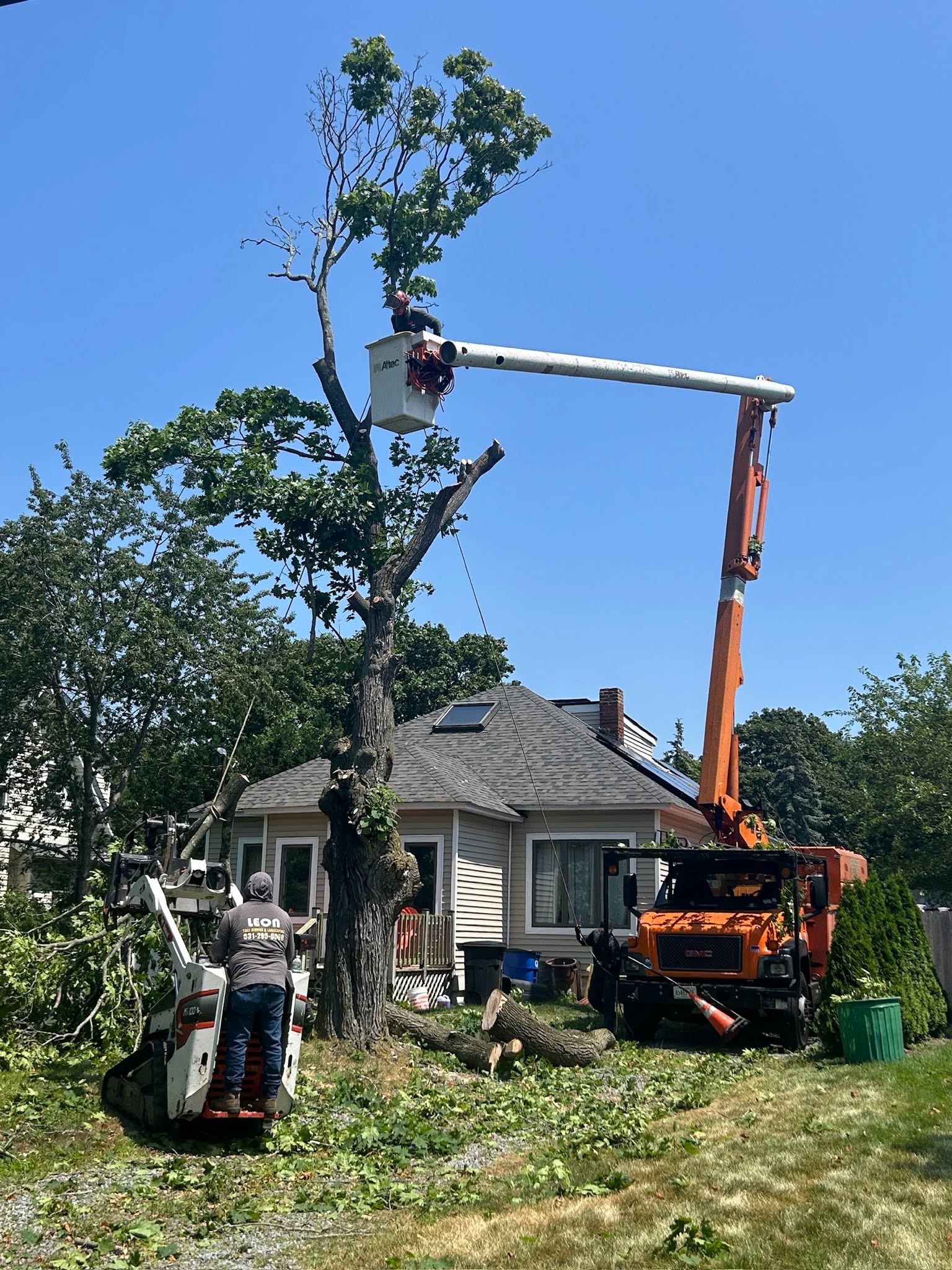 Altec aerial bucket truck extended into canopy with Bobcat MT100 track loader